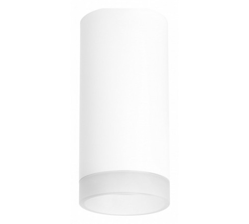 Потолочный светильник Lightstar RULLO R648680 (216486+202480) Потолочный светильник Lightstar RULLO R648680 (216486+202480)