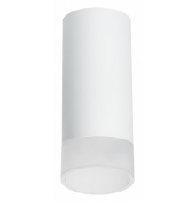 Накладной светильник Lightstar Rullo R648681 (216486+202481)