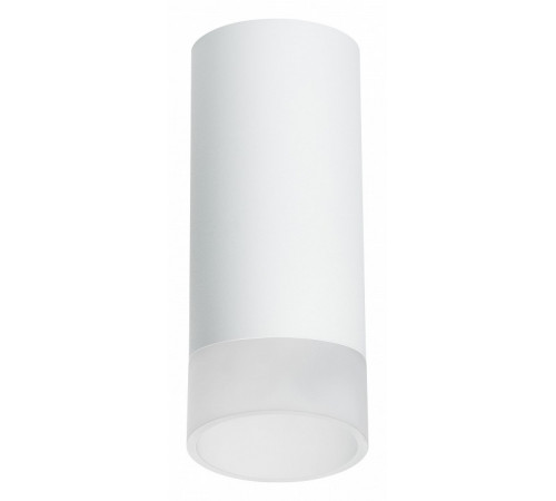 Накладной светильник Lightstar Rullo R648681 (216486+202481)