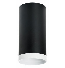 Накладной светильник Lightstar Rullo R64873486 (216487+203486)