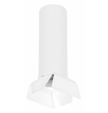 Потолочный светильник Lightstar RULLO R6496486 (216496+202486)