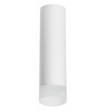Накладной светильник Lightstar Rullo R649681 (216496+202481)