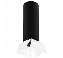 Накладной светильник Lightstar RULLO R6497486 (216497+202486)