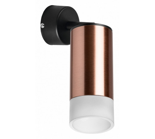Встраиваемый спот Lightstar Rullo RB43031 (214430+590007+202431)