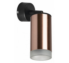 Встраиваемый спот Lightstar Rullo RB430430 (214430+590007+202430)