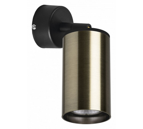 Встраиваемый спот Lightstar Rullo RB431 (214431+590007) Встраиваемый спот Lightstar Rullo RB431 (214431+590007)