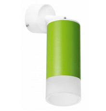 Встраиваемый спот Lightstar Rullo RB43431 (214434+590006+202431)
