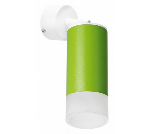 Встраиваемый спот Lightstar Rullo RB43431 (214434+590006+202431)