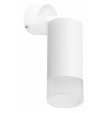 Встраиваемый спот Lightstar Rullo RB43631 (214436+590006+202431)
