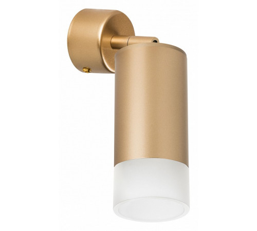 Спот Lightstar Rullo RB4401031 (214440+590010+202431)