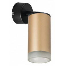 Встраиваемый спот Lightstar Rullo RB44030 (214440+590007+202430)
