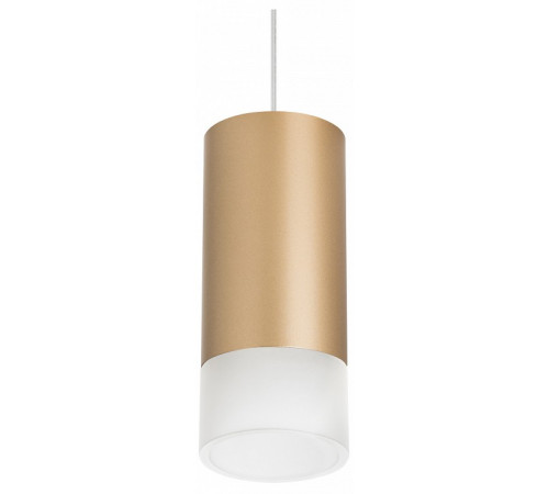 Подвесной светильник Lightstar Rullo RP440131 (214440+590050+202431)