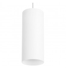 Подвесной светильник Lightstar RULLO RP486 (214486+590056)