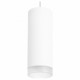 Подвесной светильник Lightstar RULLO RP48630 (214486+590056+202430)