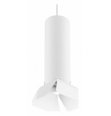 Подвесной светильник Lightstar RULLO RP496436 (214496+590056+202436)