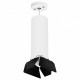 Подвесной светильник Lightstar RULLO RP6496487 (216496+590086+202487)