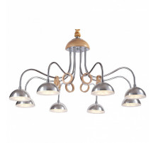 Подвесная люстра Lucia Tucci Natura 064.8 LED