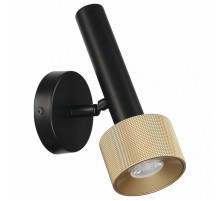 Спот iLedex Delta 2360-1 BK+BR