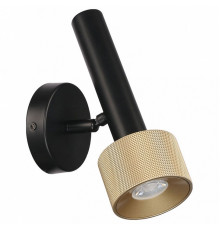 Спот iLedex Delta 2360-1 BK+BR