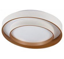 Потолочный светильник Myfar Rhea MR9161-CL