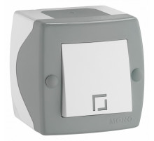 Выключатель одноклавишный Mono Electric Octans IP20 10А 250В бело-серый 104-020001-100