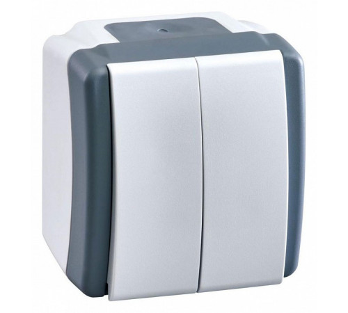 Выключатель двухклавишный Mono Electric Octans IP54 10А 250В бело-серый 154-020001-102 Выключатель двухклавишный Mono Electric Octans IP54 10А 250В бело-серый 154-020001-102
