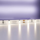 Светодиодная лента Maytoni Led Strip 12В 2835 4,8Вт/м 4000K 5м IP20 20008