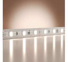 Светодиодная лента Maytoni Base 12В 2835 9,6Вт/м 6000K 5м IP20 201170