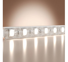 Светодиодная лента Maytoni Base 24В 5050 14,4Вт/м 6000K 5м IP65 201194