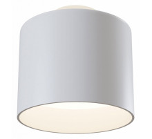 Накладной светильник Maytoni Planet C009CW-L12W4K