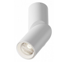 Накладной спот Maytoni Dafne C027CL-L10W4K