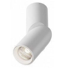 Накладной спот Maytoni Dafne C027CL-L10W4K