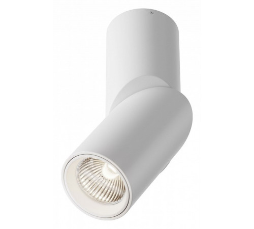 Накладной спот Maytoni Dafne C027CL-L10W4K Накладной спот Maytoni Dafne C027CL-L10W4K