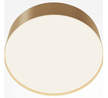 Потолочный светильник Maytoni Technical Ceiling Zon C032CL-24W4K-RD-MG
