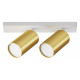 Спот Maytoni Technical Focus S C051CL-U-2WMG