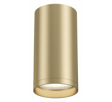 Потолочный светильник Maytoni FOCUS S C052CL-01MG