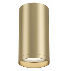 Потолочный светильник Maytoni FOCUS S C052CL-01MG
