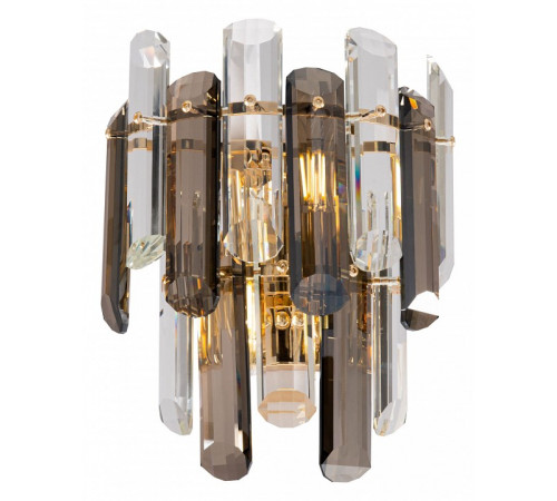 Настенный светильник Maytoni Flare DIA200WL-02G