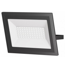 Прожектор Maytoni Flood FL001-L50B6K