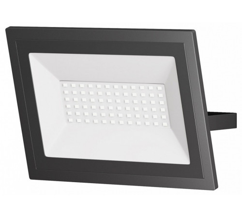 Прожектор Maytoni Flood FL001-L50B6K Прожектор Maytoni Flood FL001-L50B6K