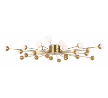 Потолочная люстра Freya Celebrity FR5242CL-24BS1