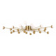Потолочная люстра Freya Celebrity FR5242CL-24BS1