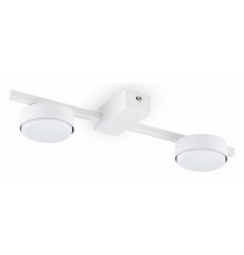 Потолочный светильник Freya Tactic FR5363CL-02W1