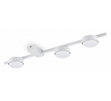 Потолочный светильник Freya Tactic FR5363CL-03W