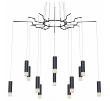 Подвесная люстра Maytoni Davida MOD035PL-12B