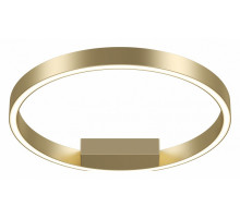 Потолочный светильник Maytoni Rim MOD058CL-L25BSK