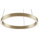 Подвесной светильник Maytoni Rim MOD058PL-L22BSK
