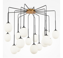 Подвесная люстра Maytoni Branch MOD176PL-16G