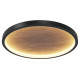 Потолочный светильник Maytoni Orign MOD311CL-L40B3K