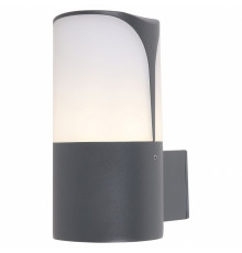 Уличный настенный светильник Maytoni Piccadilly O016WL-01B